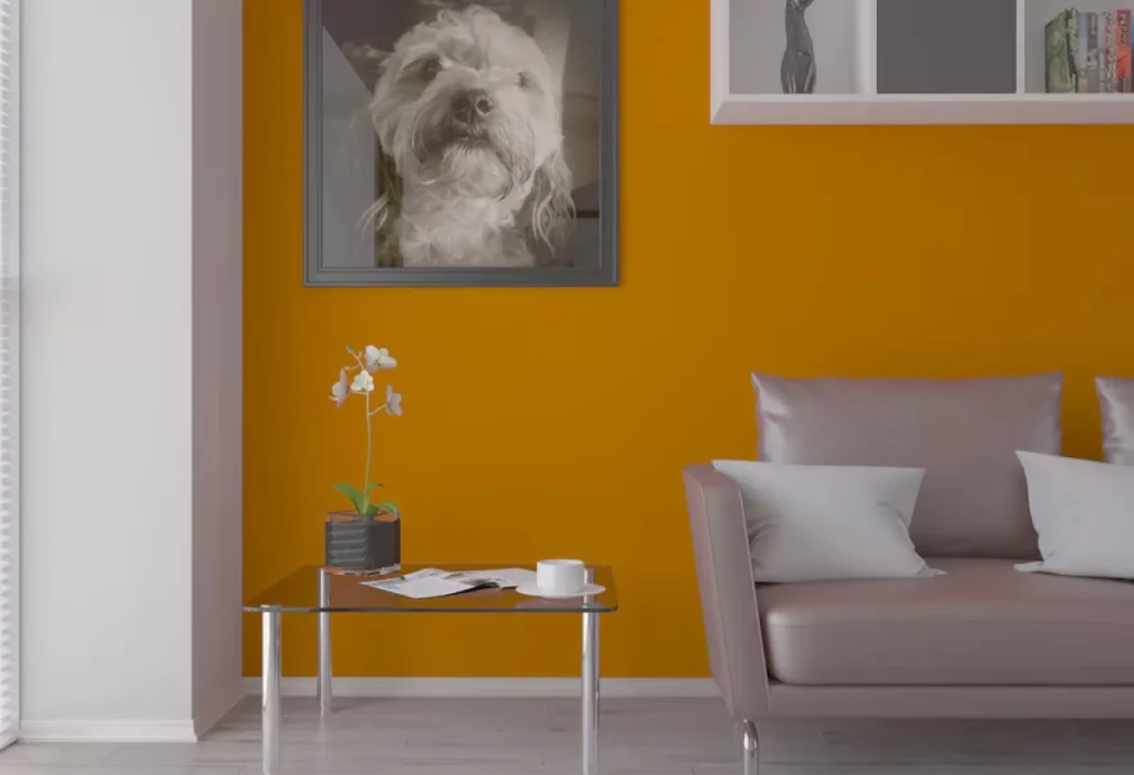 Iso Renov Entreprise De Peinture Cavaillon Peinture Interieure Et Extereiure 5